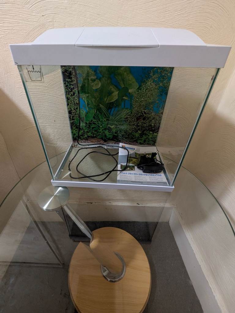 Super fish glass fish tank.