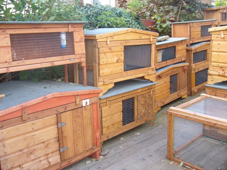 X3RABBIT HUTCH ROBUST   NON ROTT BASE  12120 WIDE £45  WALK IN MESH S 6X3FT £30 EACH  SHOWROOM     