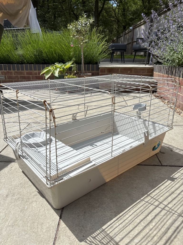 Small animal cage (guinea pig)