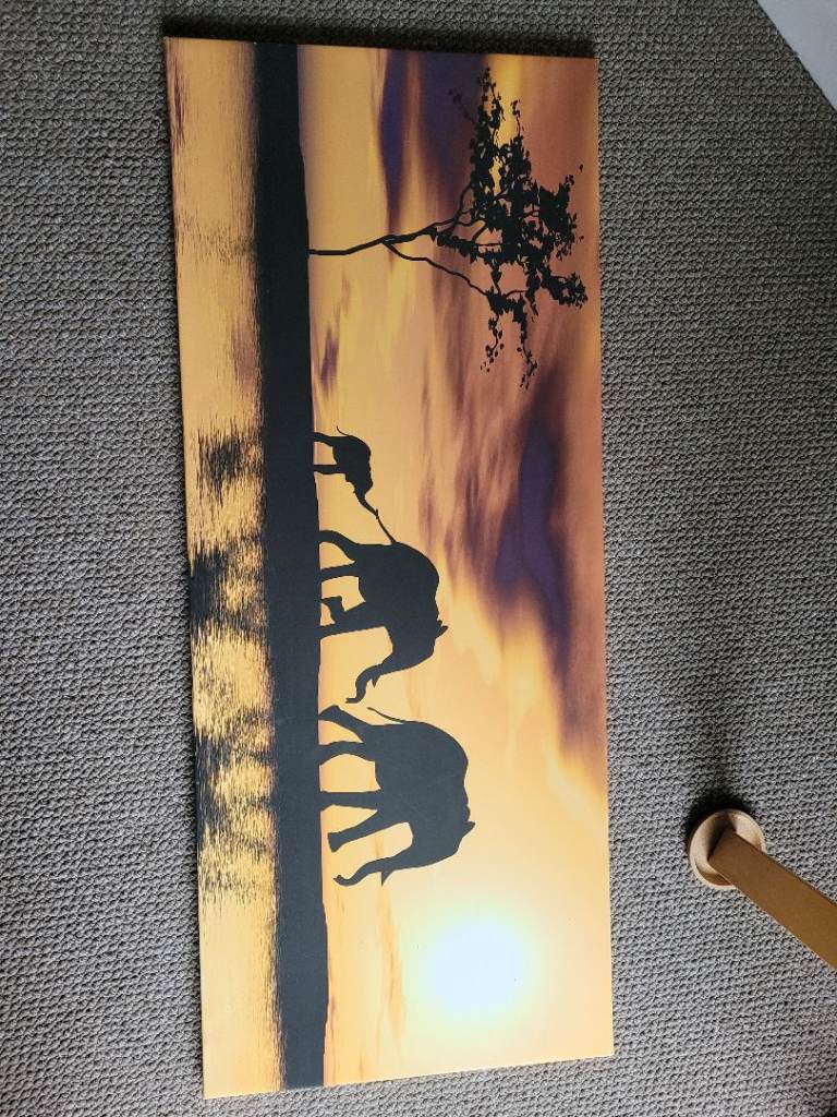 Elephant canvas