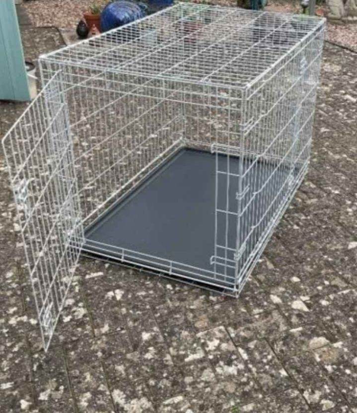 Brand new large dog create 