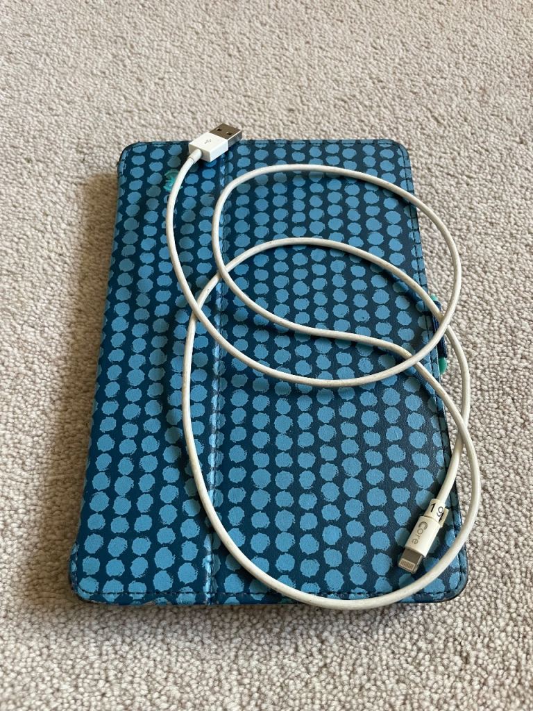 iPad mini 1st generation 