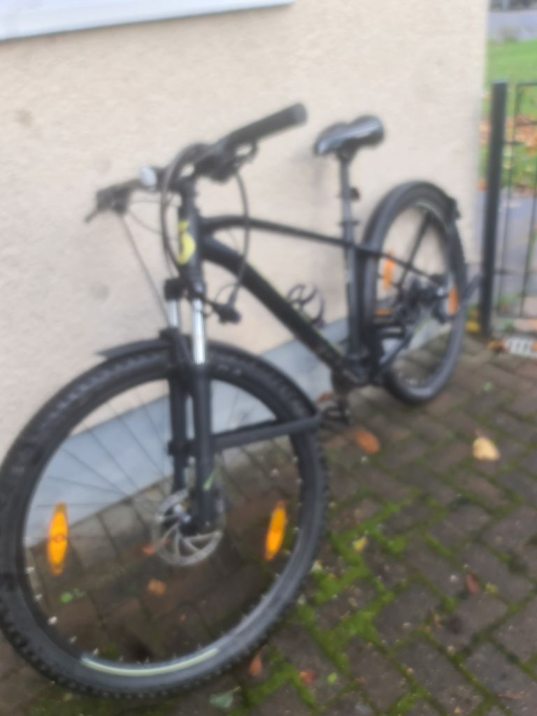 Mountain bike