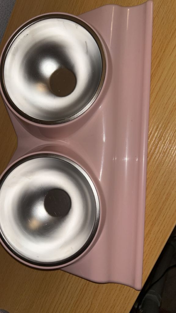 Tilted pet food tray 