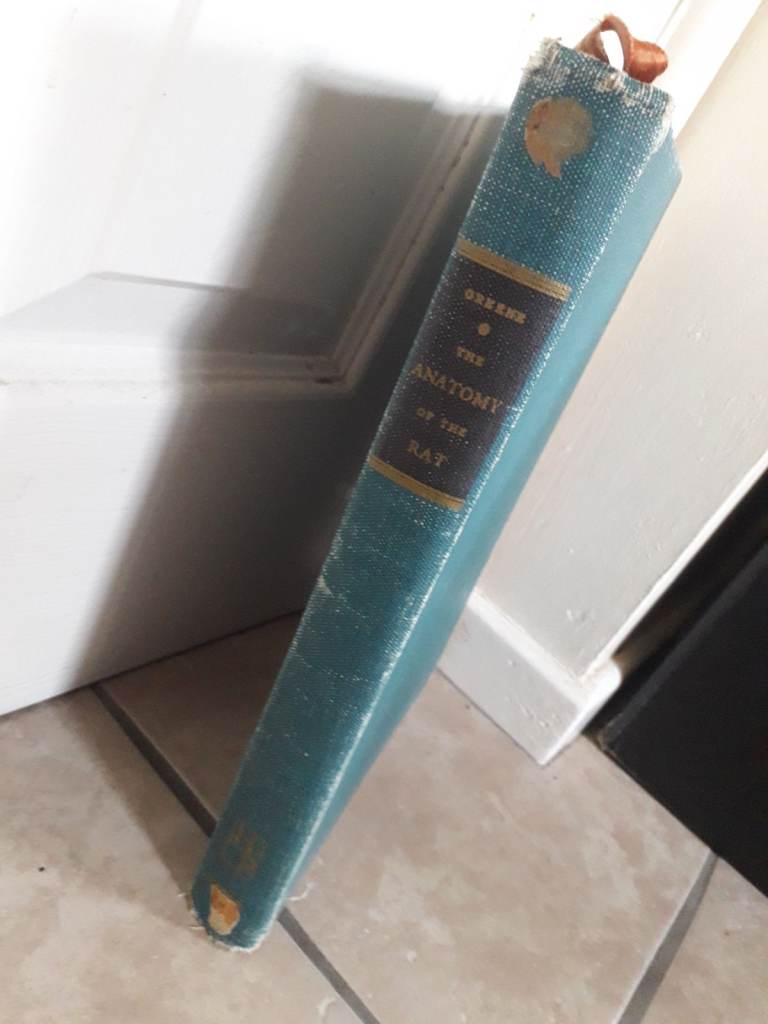 Anatomy of the Rat Eunice Chace Greene Published by Hafner Publishing Co., USA, 1963 (Rare book)