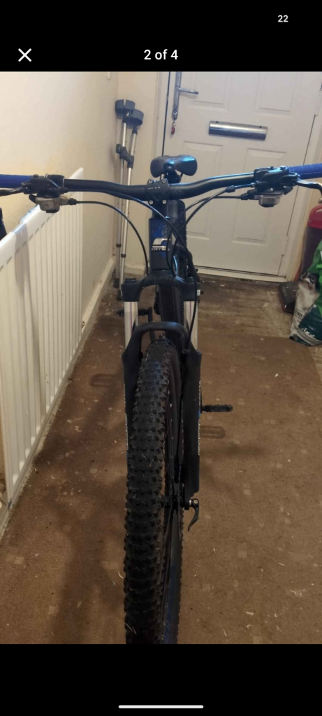 carrera hellcat 29 large frame