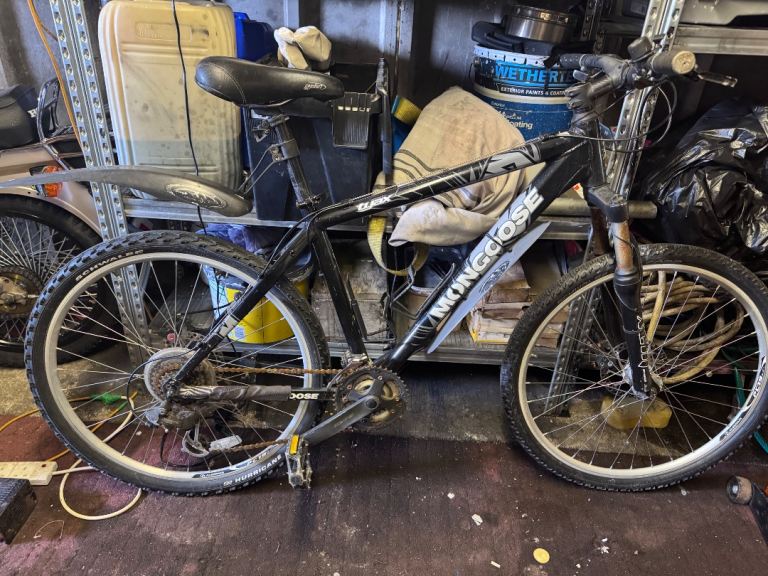 Mongoose mountain bike 