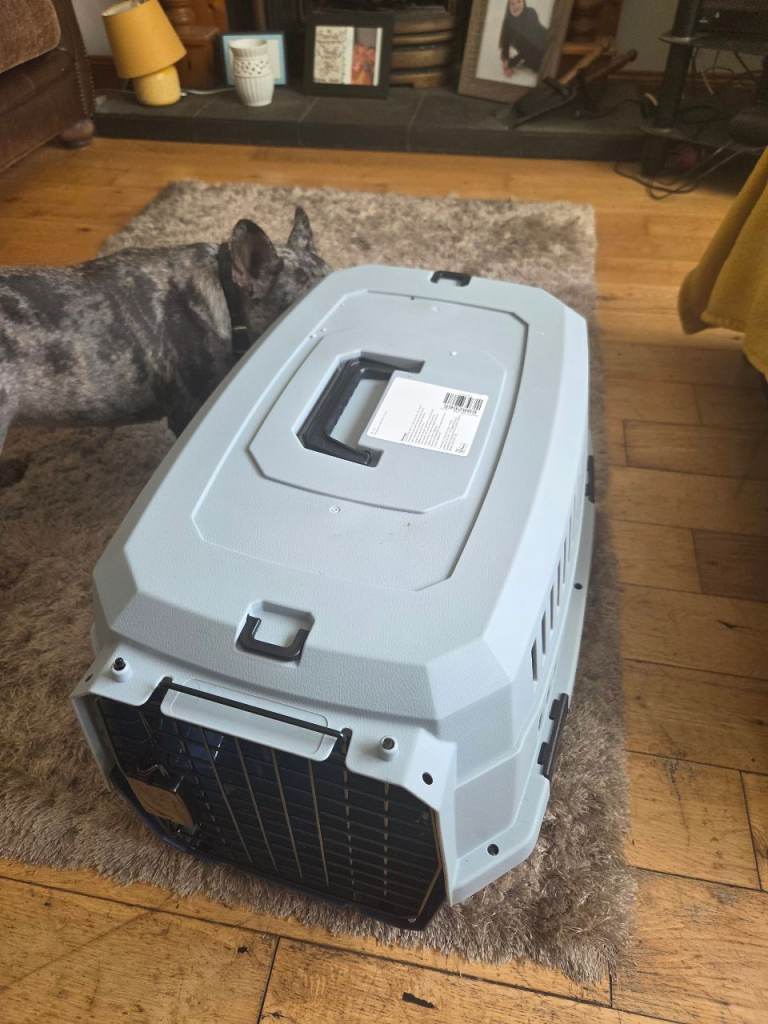 Small dog are cat cage 