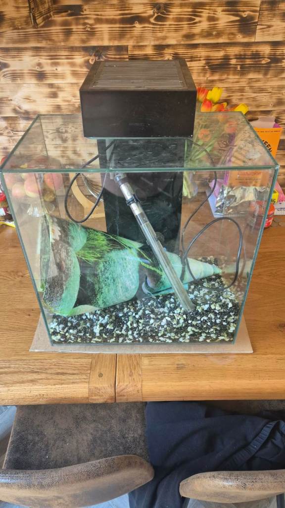 Fish tank
