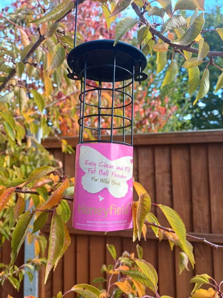 Fat Ball Wild Bird Feeder