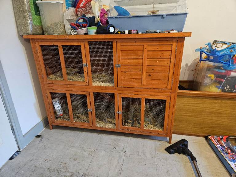 Bert and Ernie are looking for their new home