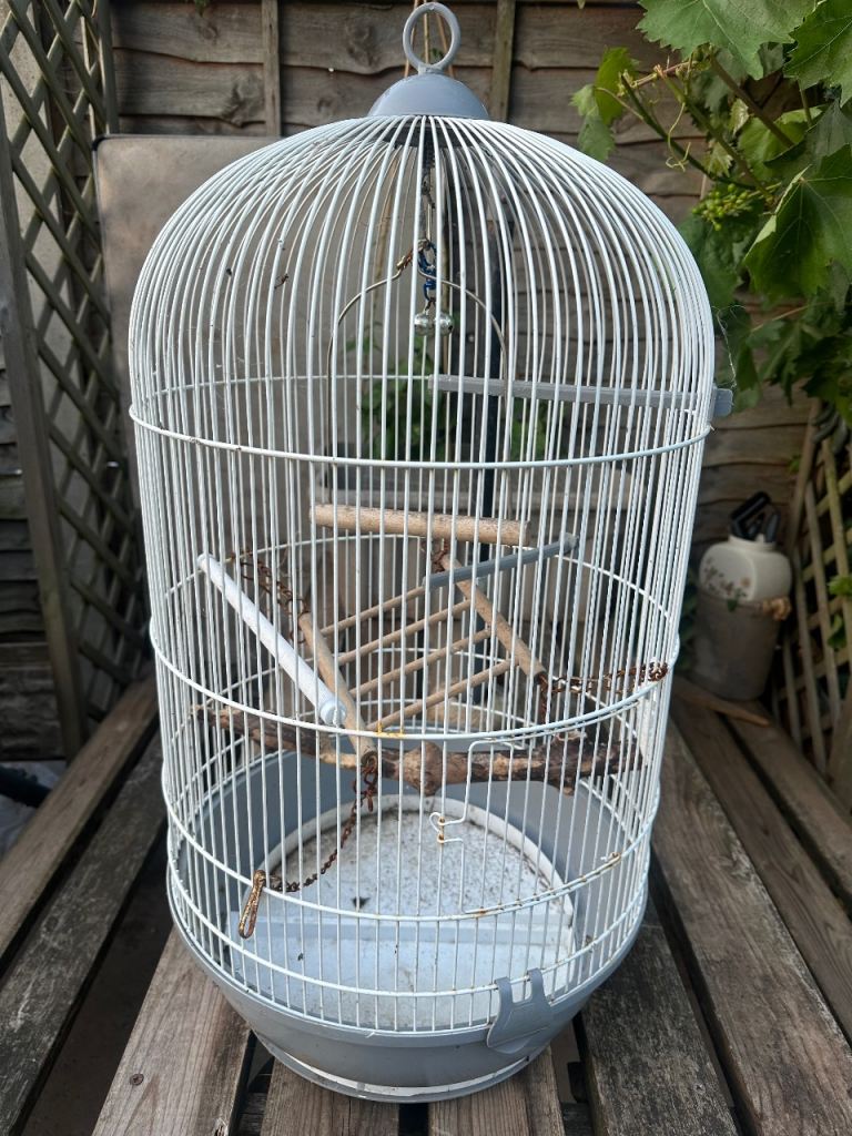 Bird cage
