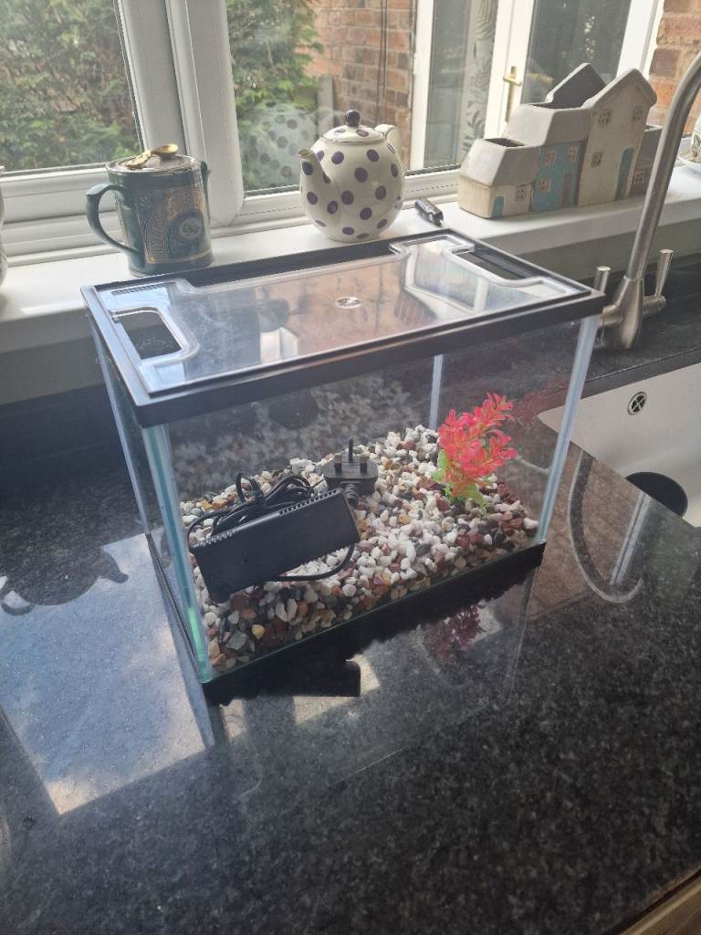 Small Fish Tank (15-20L)