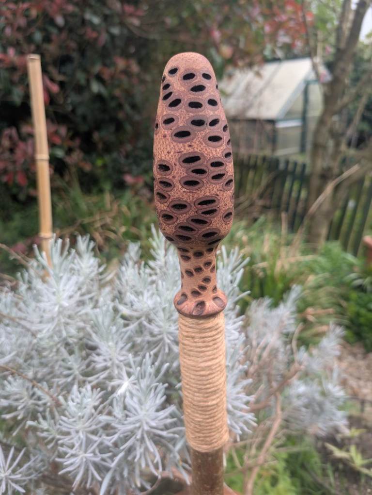 Mushroom forager walking staff 