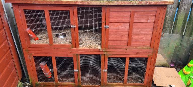 Rabbit or ferret hutch 