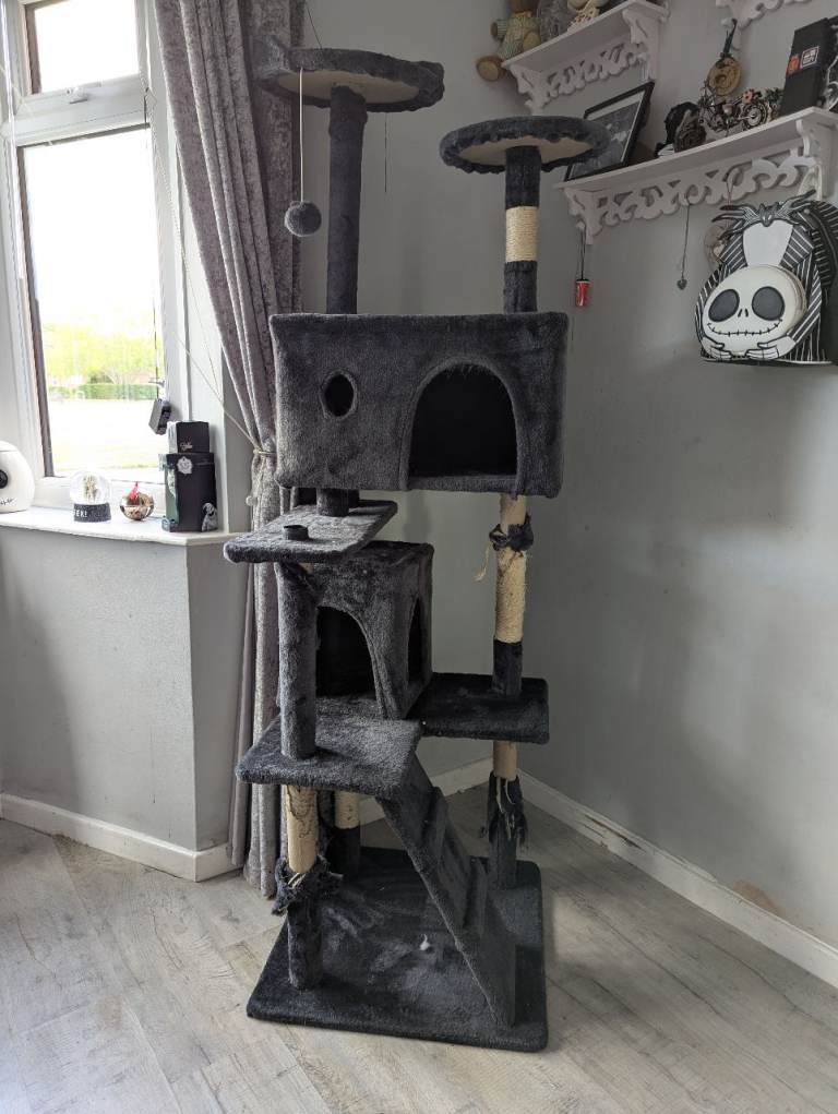 Cat Tree FREE
