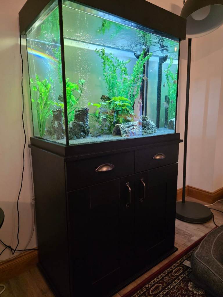 Fish Tank, Aquarium - full kit x fish