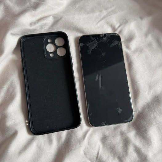iPhone 13 Pro Max (apple, phone)
