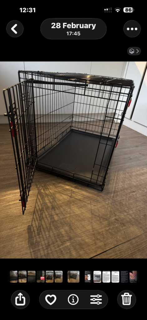 Kong XL Black Dog crate 