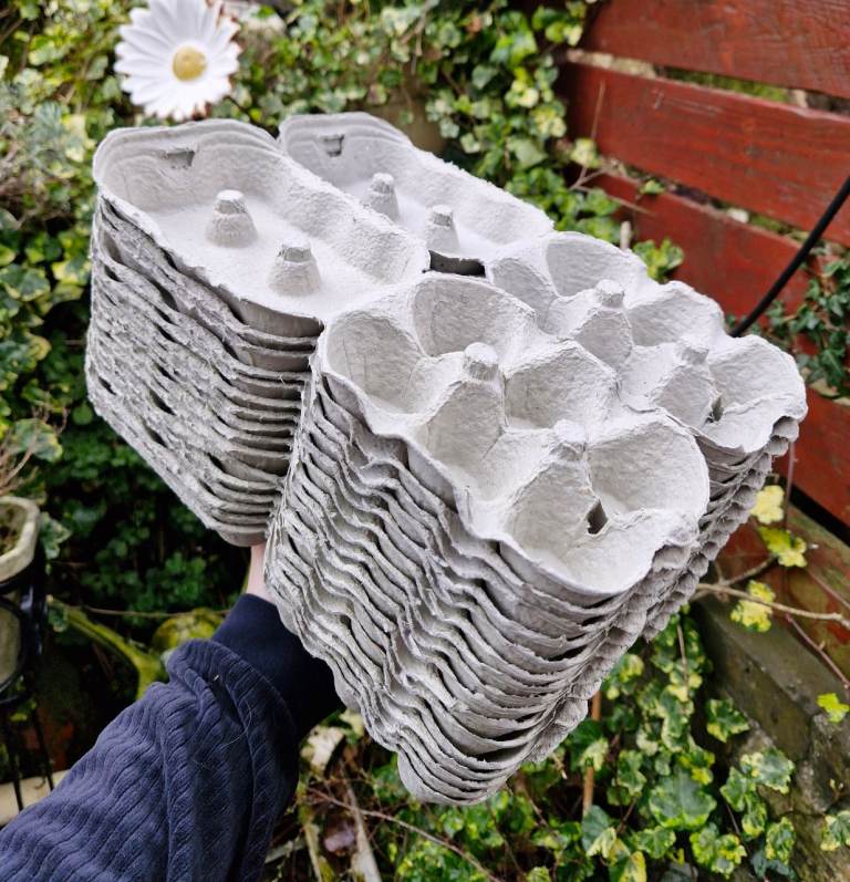 32x New Egg Carton Boxes