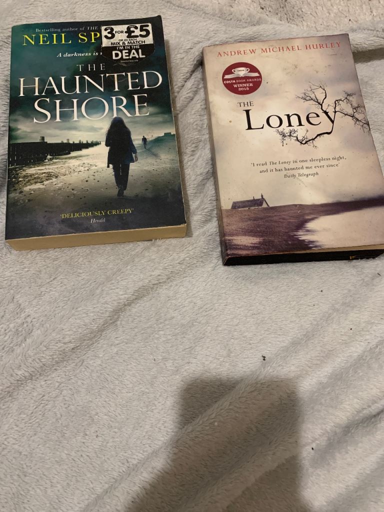 the haunted shore the lonely 