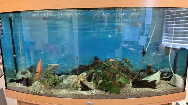 Juwel 240L Glass Aquarium Tank with Cabinet - External Filter - Heater -LED