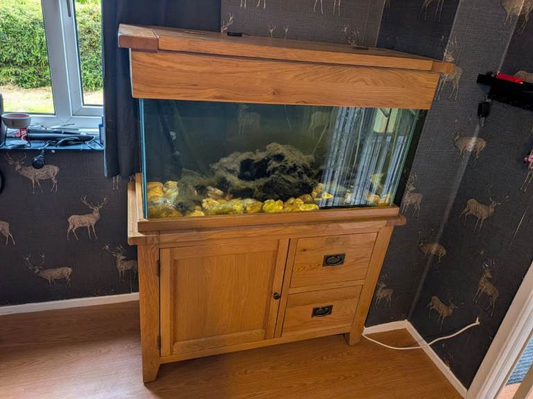 200 l fish tank with Oak unit