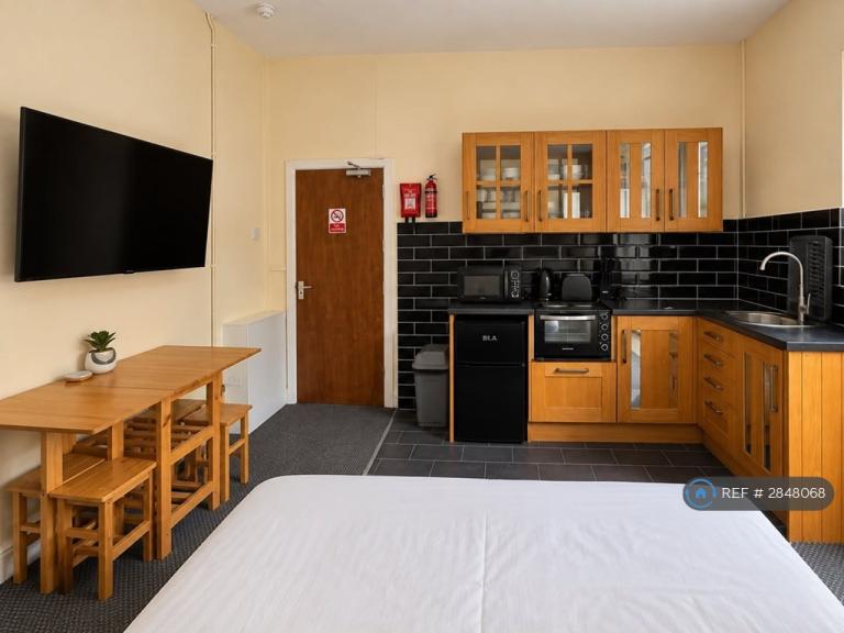 Studio flat in Oaklands Terrace, Swansea, SA1 (#2848068)