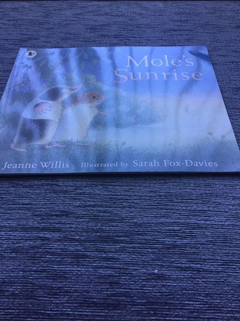 Children paperback book bundle 