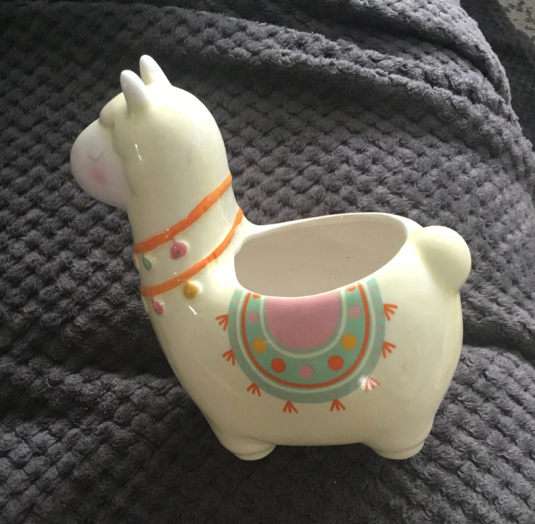Llama Ceramic Plant Pot by “Sass & Belle” Cream/Multi-coloured, Shabby Chic