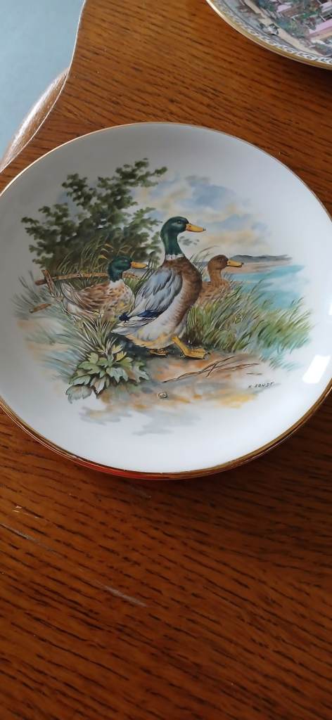 H. Arndt Decorative Duck Plate - Ceramic, Good Condition