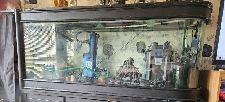 Large Bullet Tank Aquarium with accessories 
