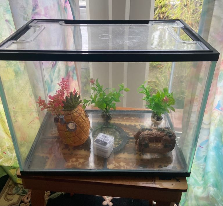 Glass Fish Tank with Decor and Magnetic Cleaner
