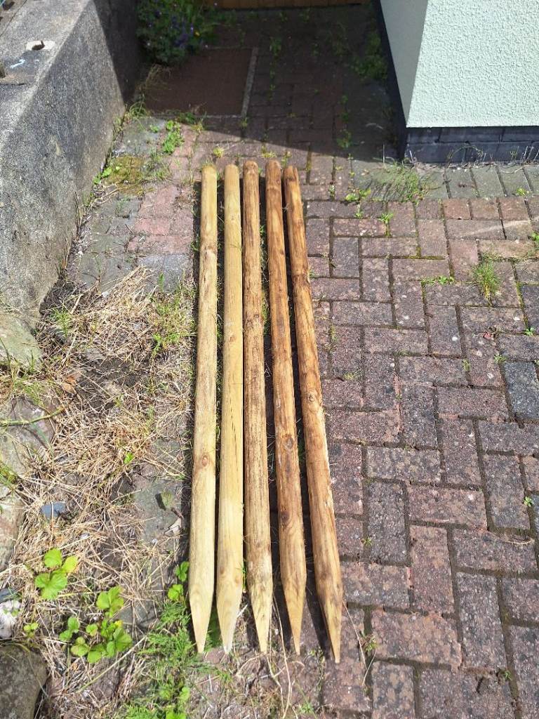 Round Tree Stakes 5.5FT165CM Heigh 6CM Wide, Spike 12.5CM, £10 Each or 5 for £45