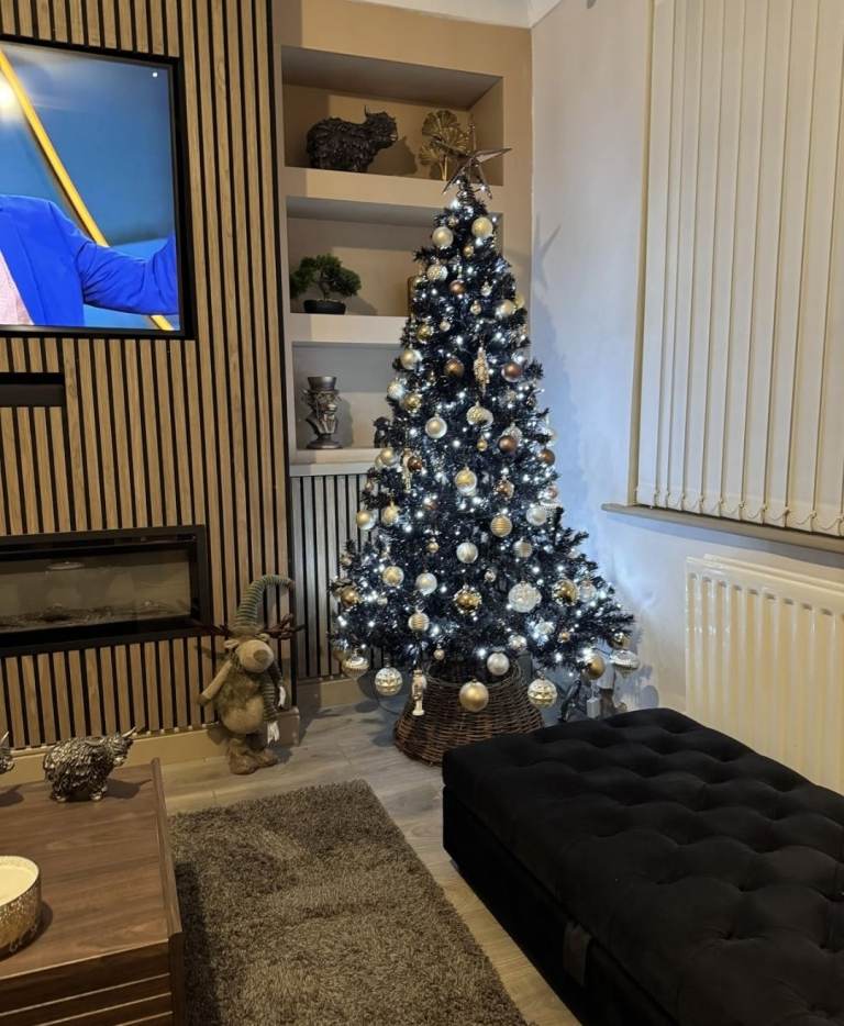 Christmas tree with free decorations 
