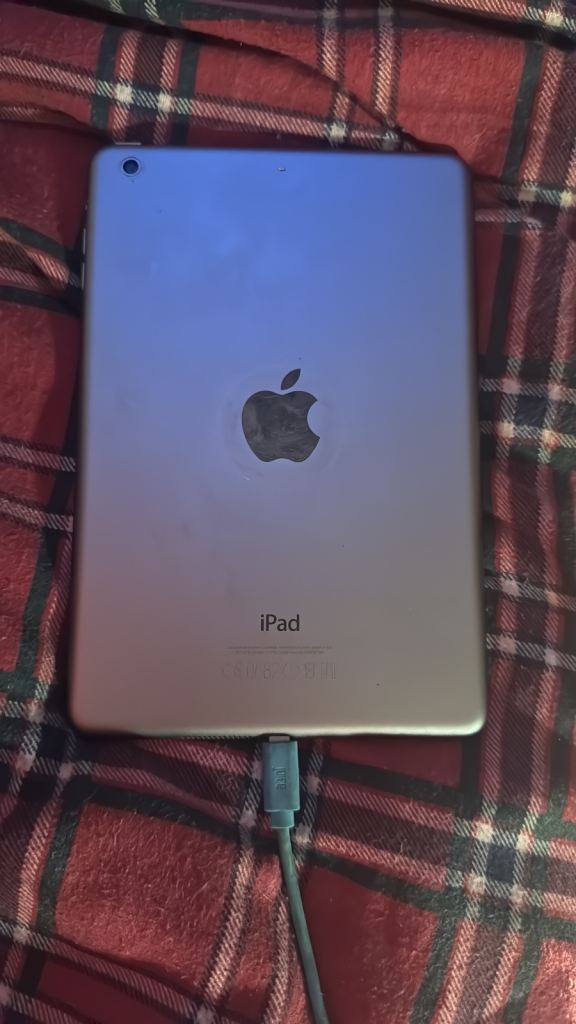 iPad mini 16gb 