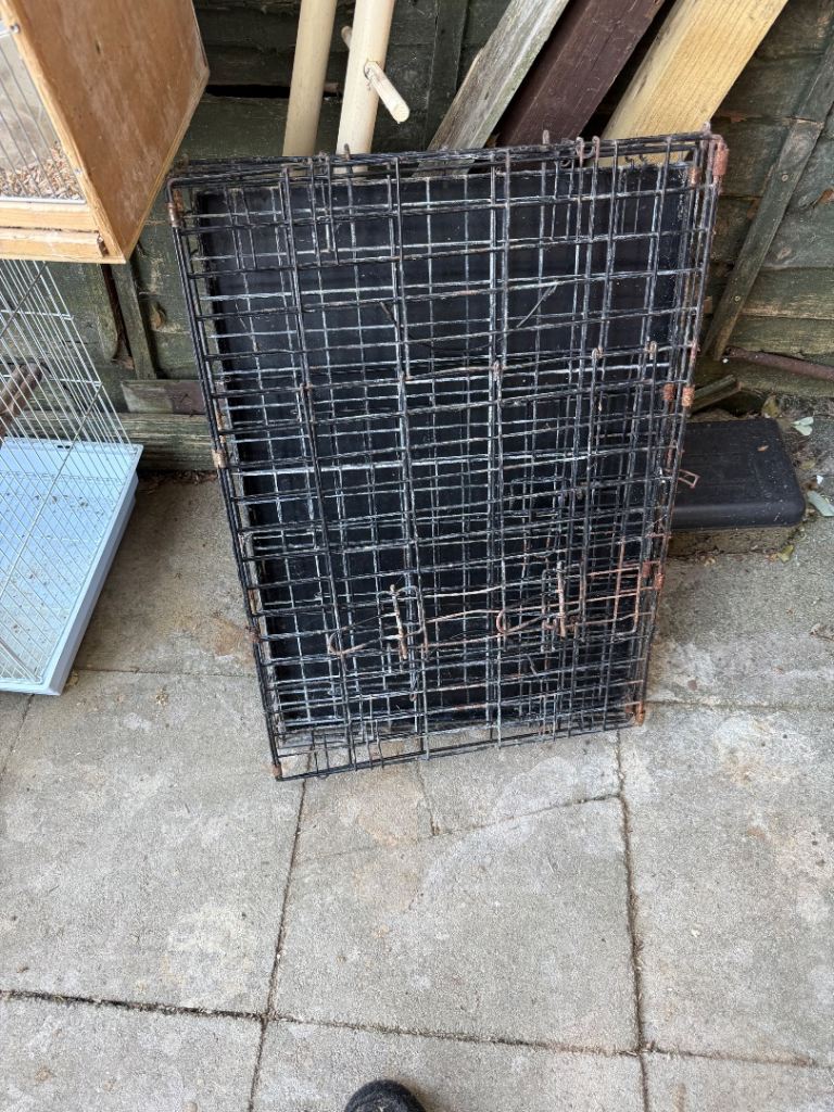 Dog crate free Earl shikton