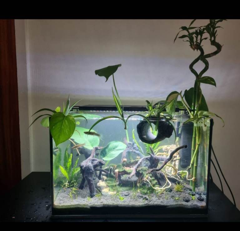 Fish tanks/aquariums (3) and filter/heater accessories 