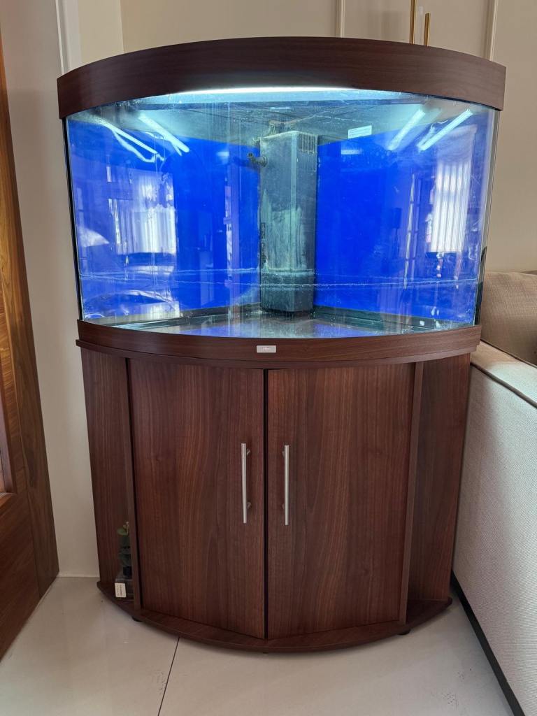 Juwell Trigon 190 L aquarium and cabinet walnut 