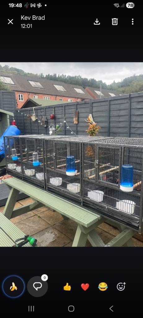 Canaries/ finch  cages