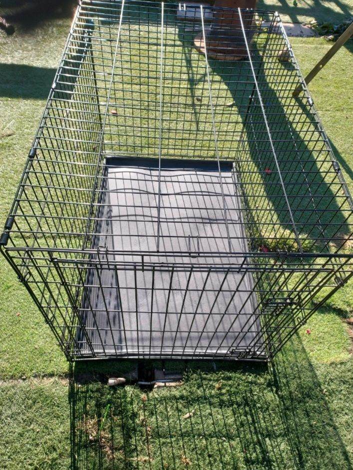 Dog cage 