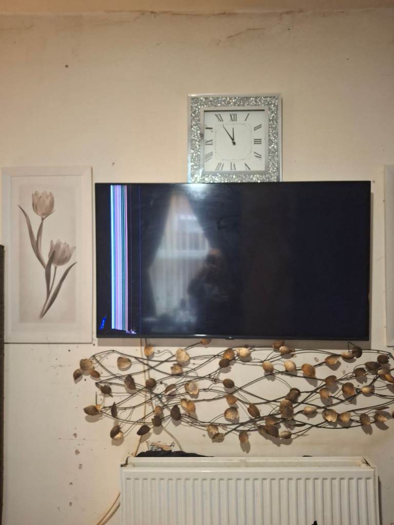 Large Flat Screen TV – Damaged Screen