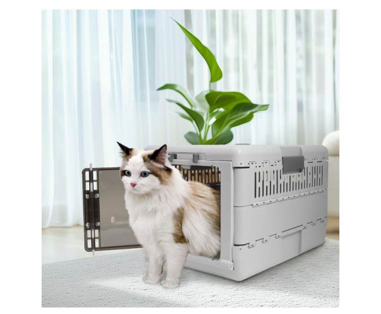 Pet carrier