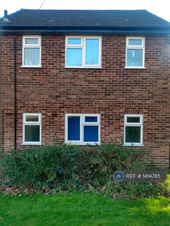 1 bedroom flat in Woodcock Road, Norwich, NR3 (1 bed) (#1414785)