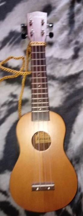 Ashbury Soprano AU14, 21 inches in length, with protection case