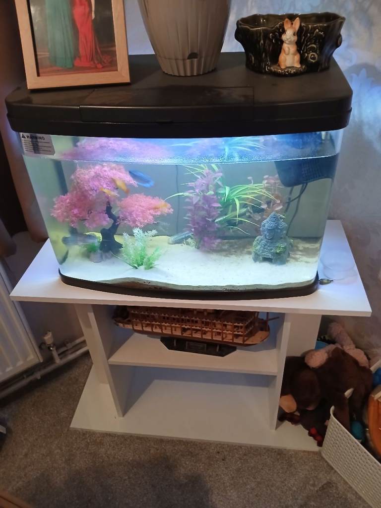 64 lite tank with stand