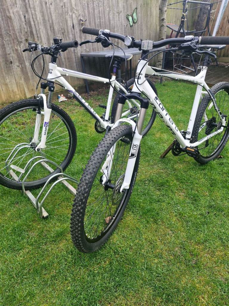 He and she Carrera bikes 