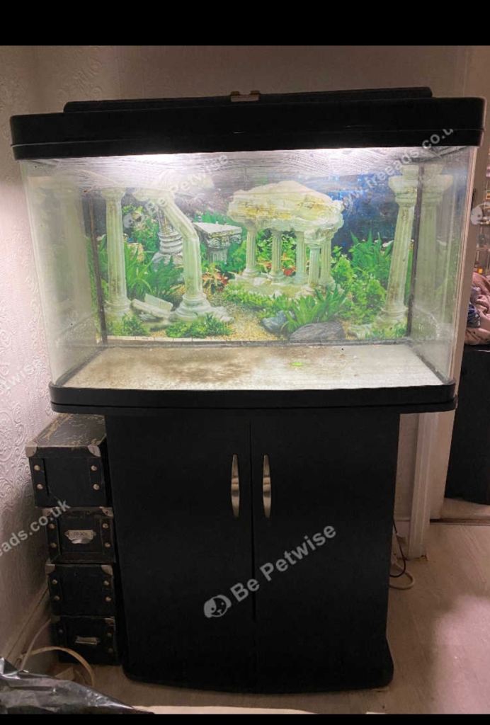 Curved front glass 32 inch Fishtank aquarium 