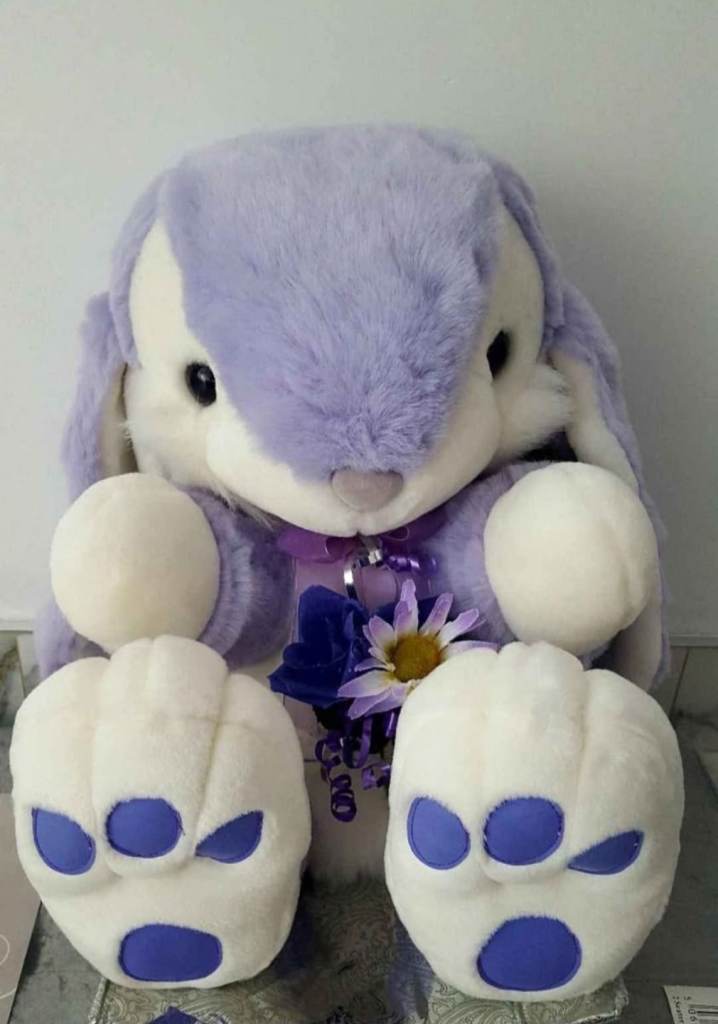 Large Cute Soft Toy Bunny Height 21 Inches Width 14 Inches 