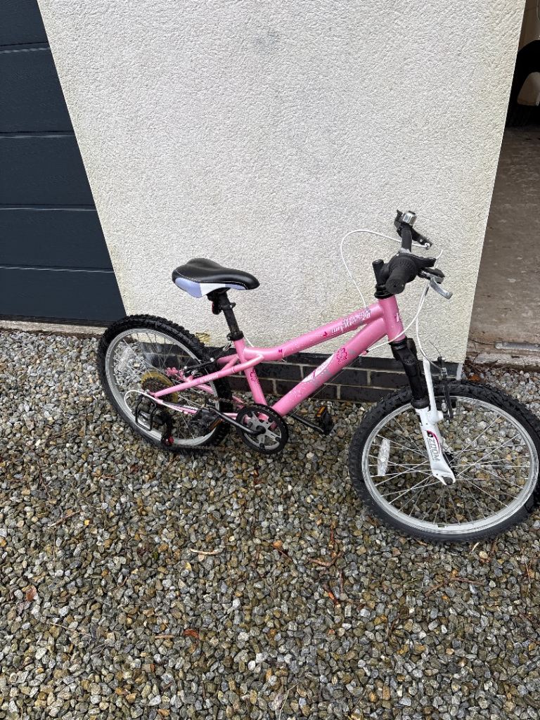 a pink Emmelle Mystic 20 girls' mountain bike